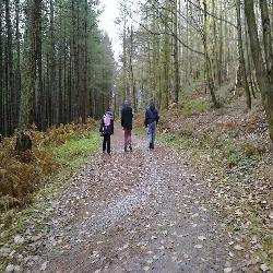 Muddy Boots Walking Groups for people with a learning disability